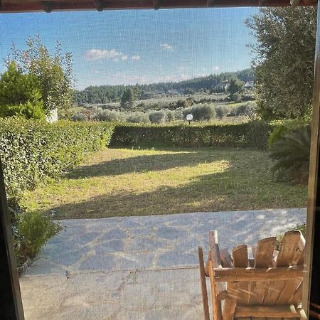 Villa Pino Pueblo Paliouri Esterno foto